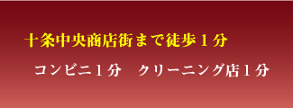 十条中央商店街まで徒歩１分 コンビニ１分　クリーニング店１分